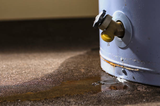 Best Water damage repair service  in Orange, VA
