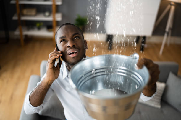 Best Professional water damage repair  in Orange, VA