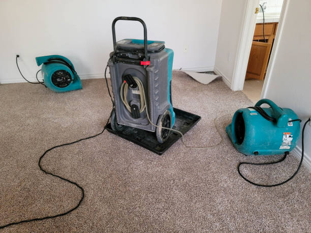 Best Water damage contractors near me  in Orange, VA