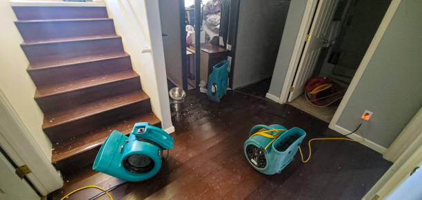 Best Water damage restoration insurance claims  in Orange, VA