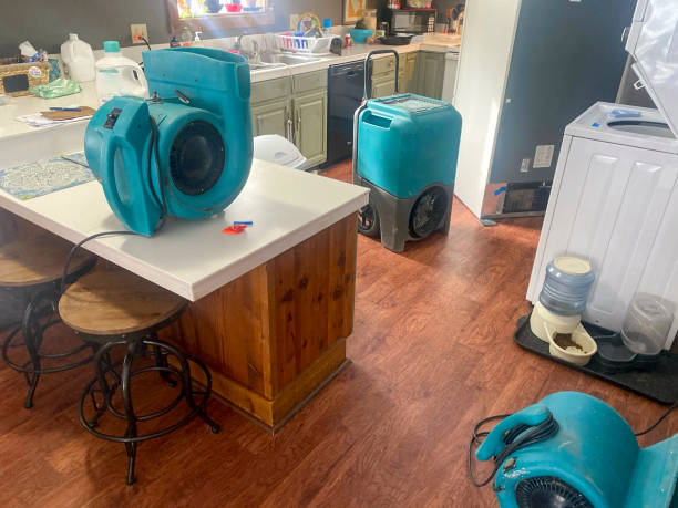 Best Water damage cleanup near me  in Orange, VA