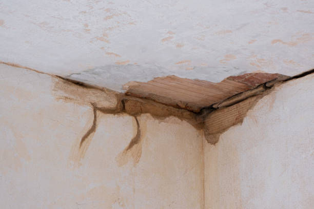 Best Basement water damage restoration  in Orange, VA