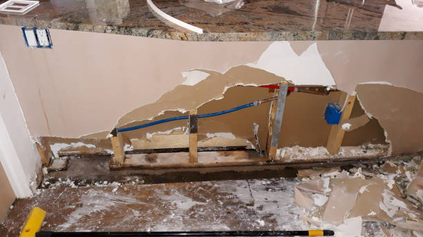 Best Water damage restoration company  in Orange, VA