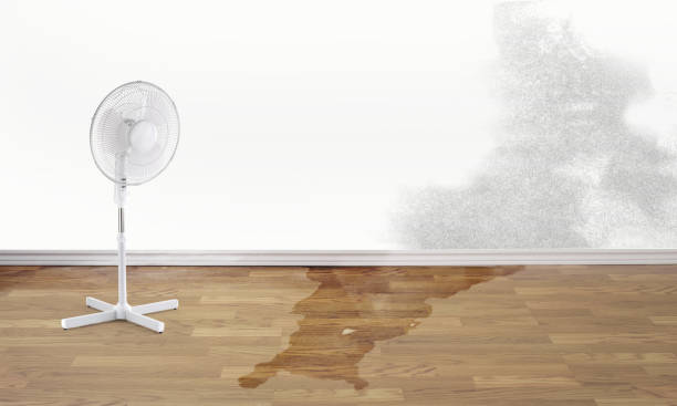 Best Commercial water damage restoration  in Orange, VA