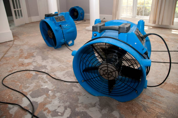 Best Flood damage cleanup  in Orange, VA