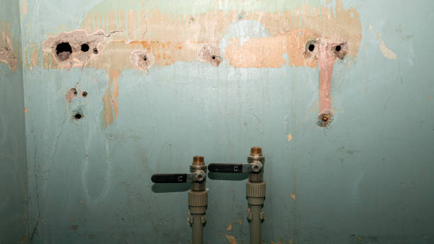 Best Flood restoration services  in Orange, VA