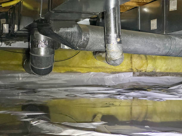 Best Local water damage restoration  in Orange, VA