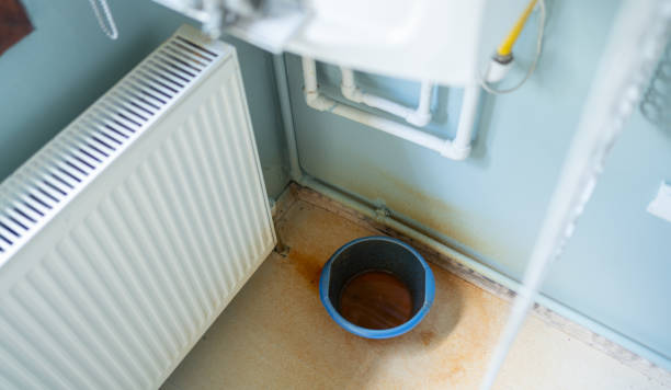 Best Flood damage cleanup  in Orange, VA