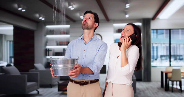 Best Mold removal after water damage  in Orange, VA