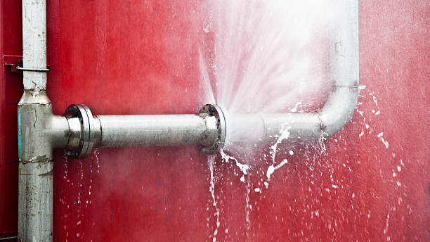 Best Carpet water damage restoration  in Orange, VA